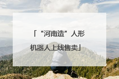 “河南造”人形机器人上线售卖