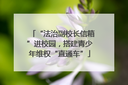 “法治副校长信箱”进校园，搭建青少年维权“直通车”