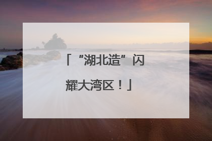 “湖北造”闪耀大湾区！