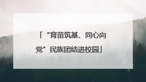 “育苗筑基、同心向党”民族团结进校园