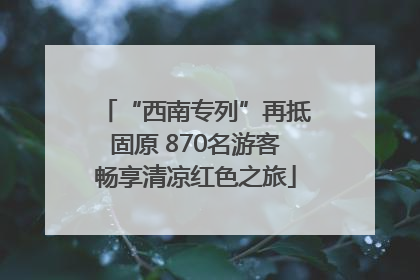“西南专列”再抵固原 870名游客畅享清凉红色之旅