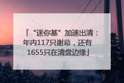 “迷你基”加速出清：年内117只谢幕，还有1655只在清盘边缘