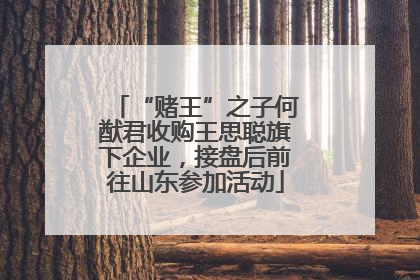 “赌王”之子何猷君收购王思聪旗下企业，接盘后前往山东参加活动