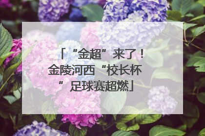 “金超”来了！金陵河西“校长杯”足球赛超燃