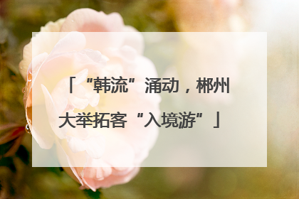 “韩流”涌动，郴州大举拓客“入境游”