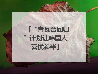 “青瓦台回归”计划让韩国人喜忧参半