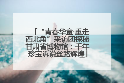“青春华章·重走西北角”采访团探秘甘肃省博物馆：千年珍宝诉说丝路辉煌