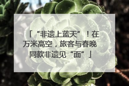 “非遗上蓝天”！在万米高空，旅客与春晚同款非遗见“面”