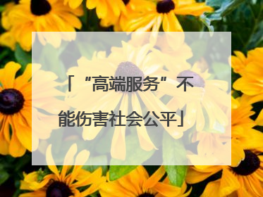 “高端服务”不能伤害社会公平