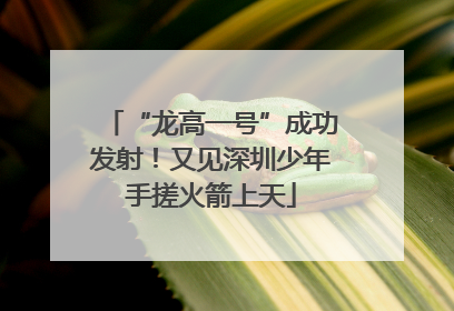 “龙高一号”成功发射！又见深圳少年手搓火箭上天