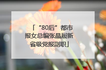 “80后”都市报女总编张晶履新省级党报副职
