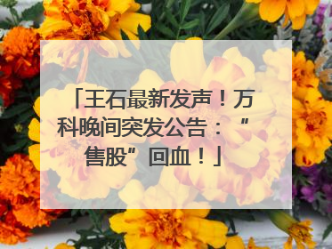 王石最新发声！万科晚间突发公告：“售股”回血！