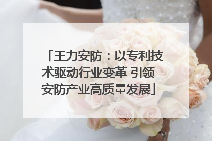 王力安防：以专利技术驱动行业变革 引领安防产业高质量发展