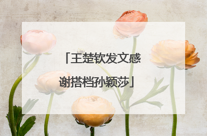 王楚钦发文感谢搭档孙颖莎
