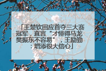 王楚钦回应首夺三大赛冠军，直言“才懂得马龙樊振东不容易”，王励勤：增添很大信心