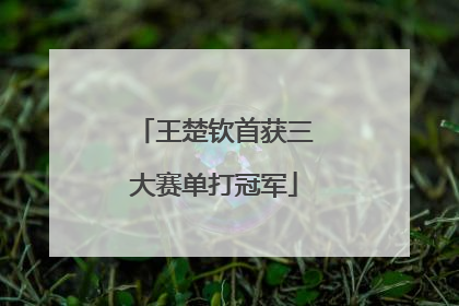 王楚钦首获三大赛单打冠军