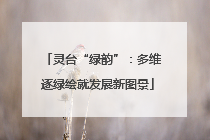 灵台“绿韵”：多维逐绿绘就发展新图景