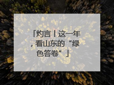 灼言丨这一年，看山东的“绿色答卷”