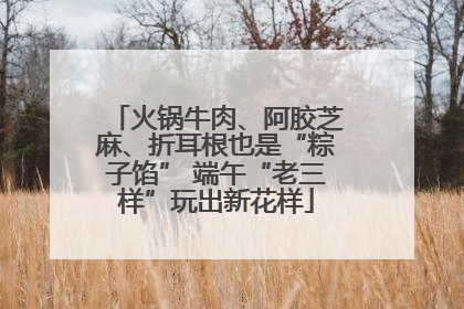 火锅牛肉、阿胶芝麻、折耳根也是“粽子馅” 端午“老三样”玩出新花样