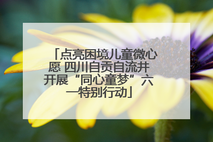 点亮困境儿童微心愿 四川自贡自流井开展“同心童梦”六一特别行动