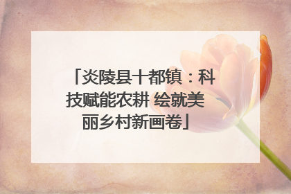炎陵县十都镇：科技赋能农耕 绘就美丽乡村新画卷