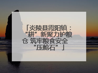 炎陵县霞阳镇：“耕”新聚力护粮仓 筑牢粮食安全“压舱石”