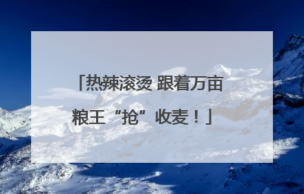 热辣滚烫 跟着万亩粮王“抢”收麦！