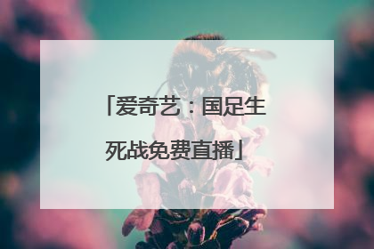 爱奇艺：国足生死战免费直播