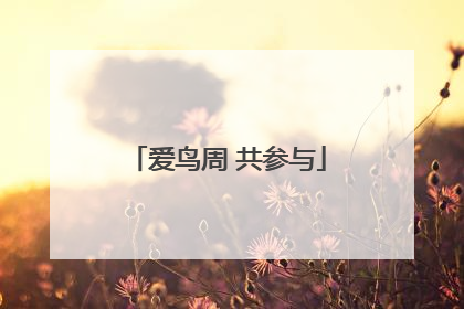 爱鸟周 共参与