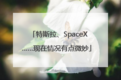 特斯拉、SpaceX……现在情况有点微妙