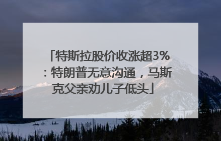 特斯拉股价收涨超3%：特朗普无意沟通，马斯克父亲劝儿子低头