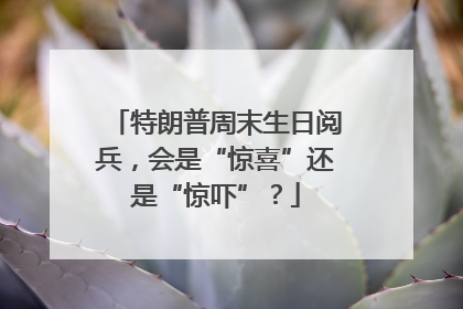 特朗普周末生日阅兵，会是“惊喜”还是“惊吓”？