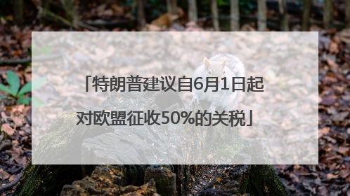 特朗普建议自6月1日起对欧盟征收50%的关税