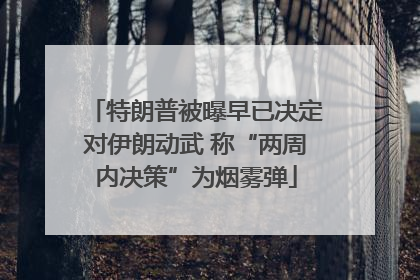特朗普被曝早已决定对伊朗动武 称“两周内决策”为烟雾弹