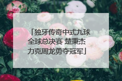 独牙传奇中式九球全球总决赛 楚秉杰力克周龙勇夺冠军