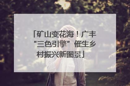 矿山变花海！广丰“三色引擎”催生乡村振兴新图景
