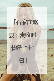 石家庄赵县：麦收时节好“丰”景