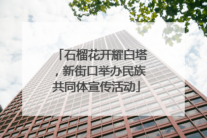 石榴花开耀白塔，新街口举办民族共同体宣传活动