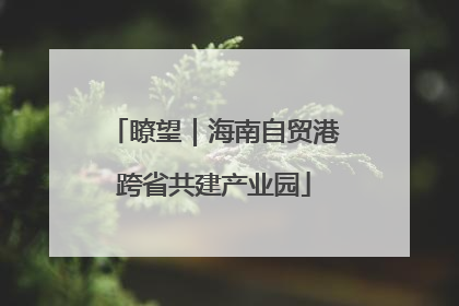 瞭望｜海南自贸港跨省共建产业园