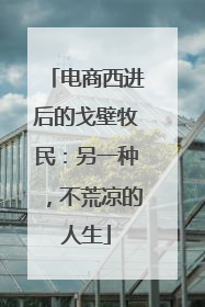 电商西进后的戈壁牧民：另一种，不荒凉的人生