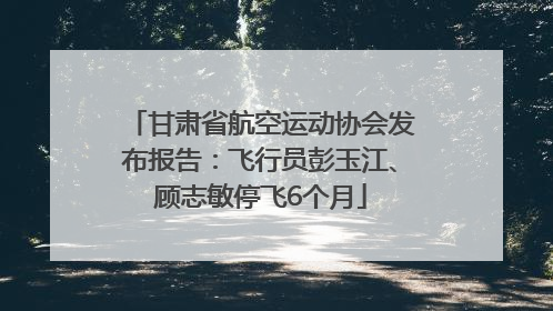 甘肃省航空运动协会发布报告：飞行员彭玉江、顾志敏停飞6个月