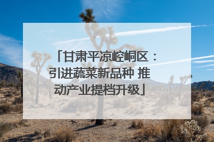 甘肃平凉崆峒区：引进蔬菜新品种 推动产业提档升级