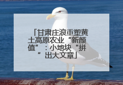甘肃庄浪重塑黄土高原农业“新颜值”：小地块“拼”出大文章