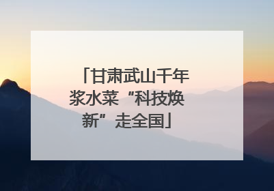 甘肃武山千年浆水菜“科技焕新”走全国