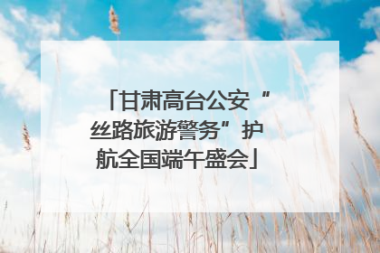 甘肃高台公安“丝路旅游警务”护航全国端午盛会