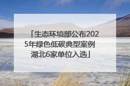 生态环境部公布2025年绿色低碳典型案例 湖北6家单位入选