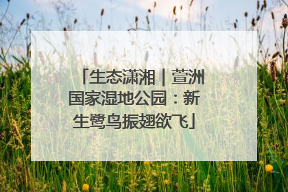 生态潇湘｜萱洲国家湿地公园：新生鹭鸟振翅欲飞