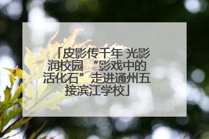 皮影传千年 光影润校园 “影戏中的活化石”走进通州五接滨江学校