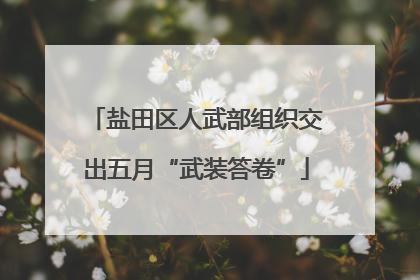 盐田区人武部组织交出五月“武装答卷”