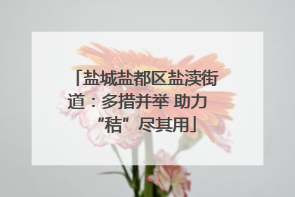 盐城盐都区盐渎街道：多措并举 助力“秸”尽其用